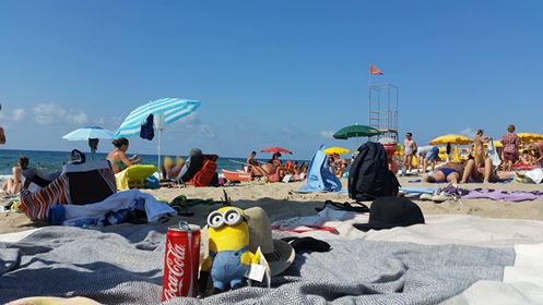 13754535_661355790683239_5888046046424096889_n